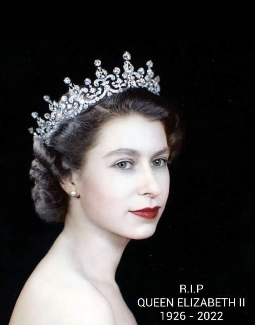 Wrangle Primary (@wrangleprimary) on Twitter photo 