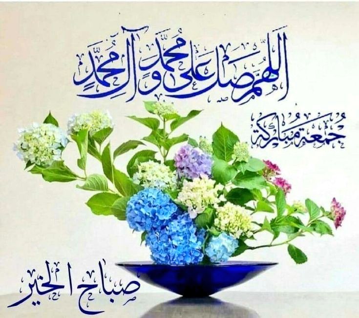 كبير + 56 سنة tweet media