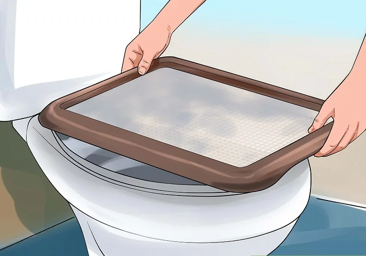 TrumpCardRabbit's tweet photo. 𝐇𝐨𝐰 𝐭𝐨 𝐭𝐨𝐢𝐥𝐞𝐭 𝐭𝐫𝐚𝐢𝐧 𝐲𝐨𝐮𝐫 𝐜𝐚𝐭
P4| Understand how to create a training tray
If you opt to create your own training tray, the process is fairly simple. You should have know how to create a training tray before transitioning from the litter box to the toilet. https://t.co/SLF3rceEIi
