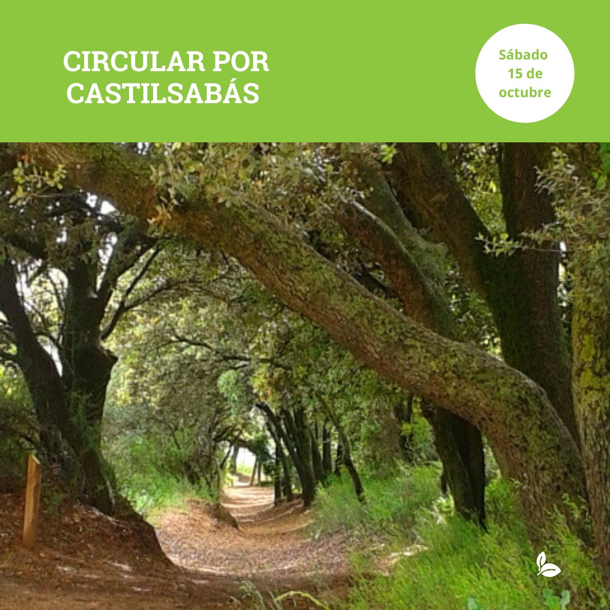 ¿Nos vamos de excursión?
▶️ Quedadas Prepyr365: 

🗓️ Sábado 𝟭𝟱 𝗱𝗲 𝗢𝗰𝘁𝘂𝗯𝗿𝗲
🤑 Jornadas 𝗴𝗿𝗮𝘁𝘂𝗶𝘁𝗮𝘀.
🌲 𝗤𝘂𝗲𝗱𝗮𝗱𝗮 𝗡𝗮𝘁𝘂𝗿𝗮𝗹 🌲 CIRCULAR POR CASTILSABÁS
✏️ APÚNTATE: acortar.link/qrLF3I

¡𝗧𝗲 𝗲𝘀𝗽𝗲𝗿𝗮𝗺𝗼𝘀!