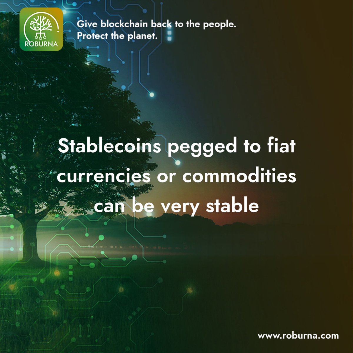 Roburnaofficial's tweet photo. Fiat-collateralized and commodity-collateralized #stablecoins use a reserve of #currency or tradeable physical assets to ensure constant exchange values. They often require greater resources to establish and operate, but can prove very stable when properly audited and maintained. https://t.co/KJK9ZI5LdV