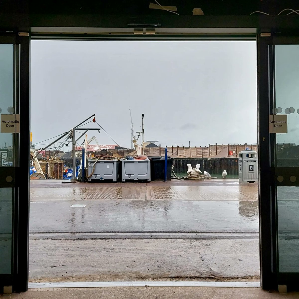 PicnicBoxCT5's tweet photo. Can't stand the rain? No worries. The #SouthQuayShed is warm and dry and has this fabulous indoor eating area so you can enjoy your lunch whilst watching the rainy, but still very busy harbour through the windows!  There's always something going on.
#whitstable #kent https://t.co/d8cPUdhgIi