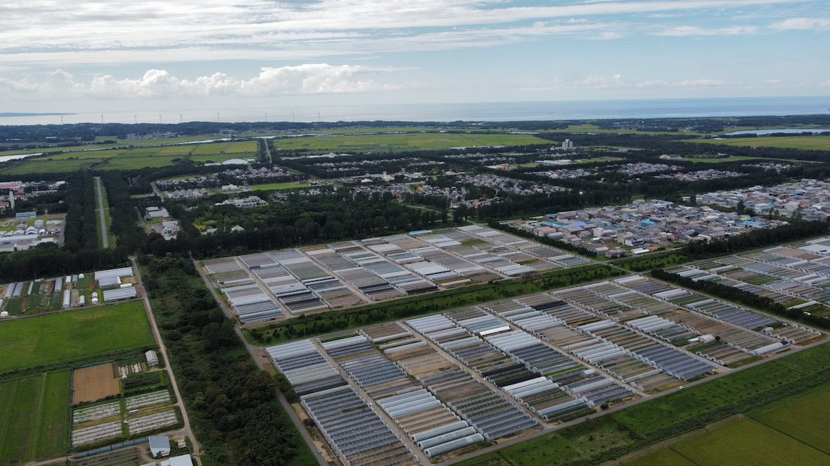 Tweets With Replies By アルファ実験教室 Alpha Jikken Twitter