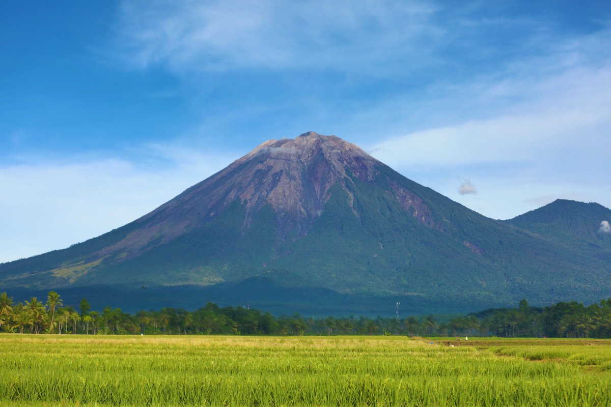 EastJavaTourism's tweet image. #MountSemeru - the highest mountain in Java, at 3,676 meters high. he mountain offers a good trail, a gorgeous savanna walk and a stunning campsite alongside the turquoise water and green hills of RanuKumbololake.