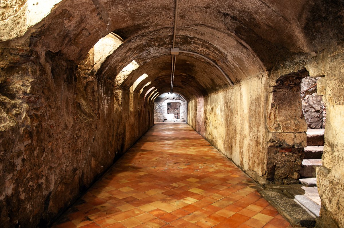 MuseoDiocesano's tweet photo. In occasione di #VIOFF vi proponiamo un tour guidato alla scoperta delle due aree archeologiche più importanti di Vicenza e del Veneto: il Criptoportico Romano e l’Area Archeologica della Cattedrale.
🎟Prenotazioni e info: 0444226400
Oggi alle ore 16! #museodiocesanovicenza https://t.co/o6v3GQvIsB