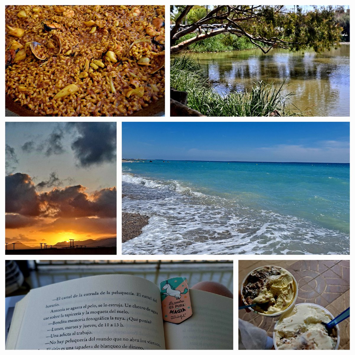 maritwain's tweet photo. ... última semana de vacaciones inmejorable, gracias septiembre!...
👩👧🌅🌊🦆🌿🐾🎶🍨🍷✨️😊
#BuenosDias #TocaVolver https://t.co/M3saz2BHeK
