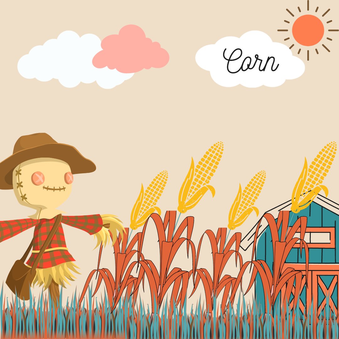 Corn! Corn! Good morning.
<a href="/canva/">Canva</a> 
#CanvaDesignChallenge