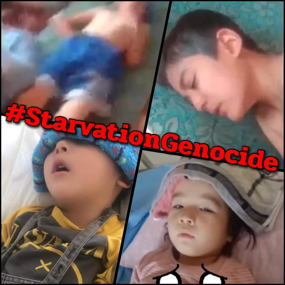 EstTurkistan's tweet photo. https://t.co/86oKUG2PAl