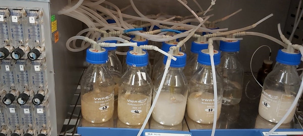 project_mandala's tweet photo. In the framework of MANDALA, ARCHA S.R.L. has carried out biodegradability test of the materials developed. These structures have been tested in the following conditions: water, marine, soil, home compost, and industrial compost.

https://t.co/YGzSVz7xpT https://t.co/1hN3J6QWy0