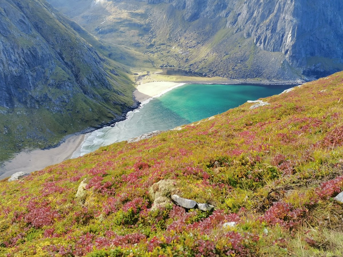 auli_romppainen's tweet photo. Kannatti kiivetä ja haastaa itsensä. Löysin tällaisen maanpäällisen paratiisin paikassa #ryten #kvalvikabeach #lofoten https://t.co/tznvPzPkOS