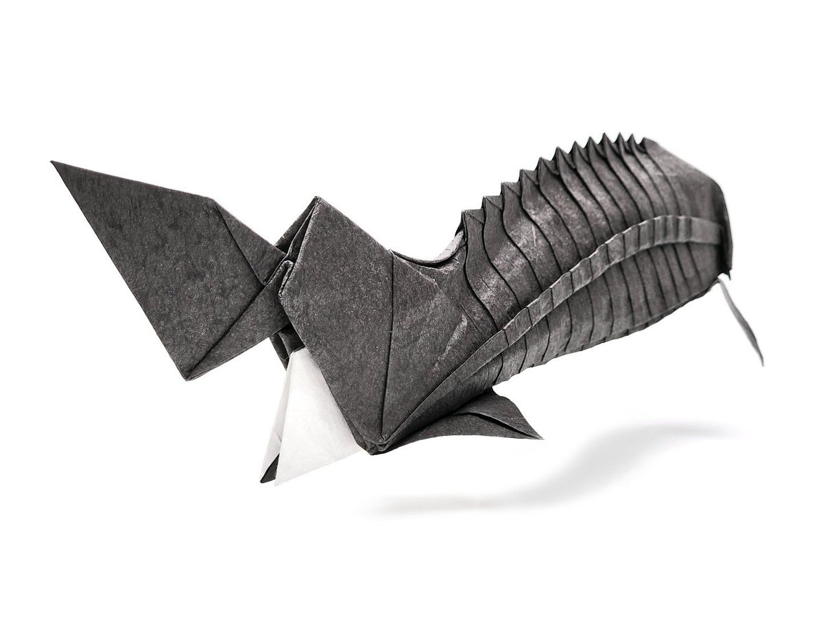 Kimvacom's tweet photo. チョウザメ
#折り紙 #origami https://t.co/BJ1IkkqhEw