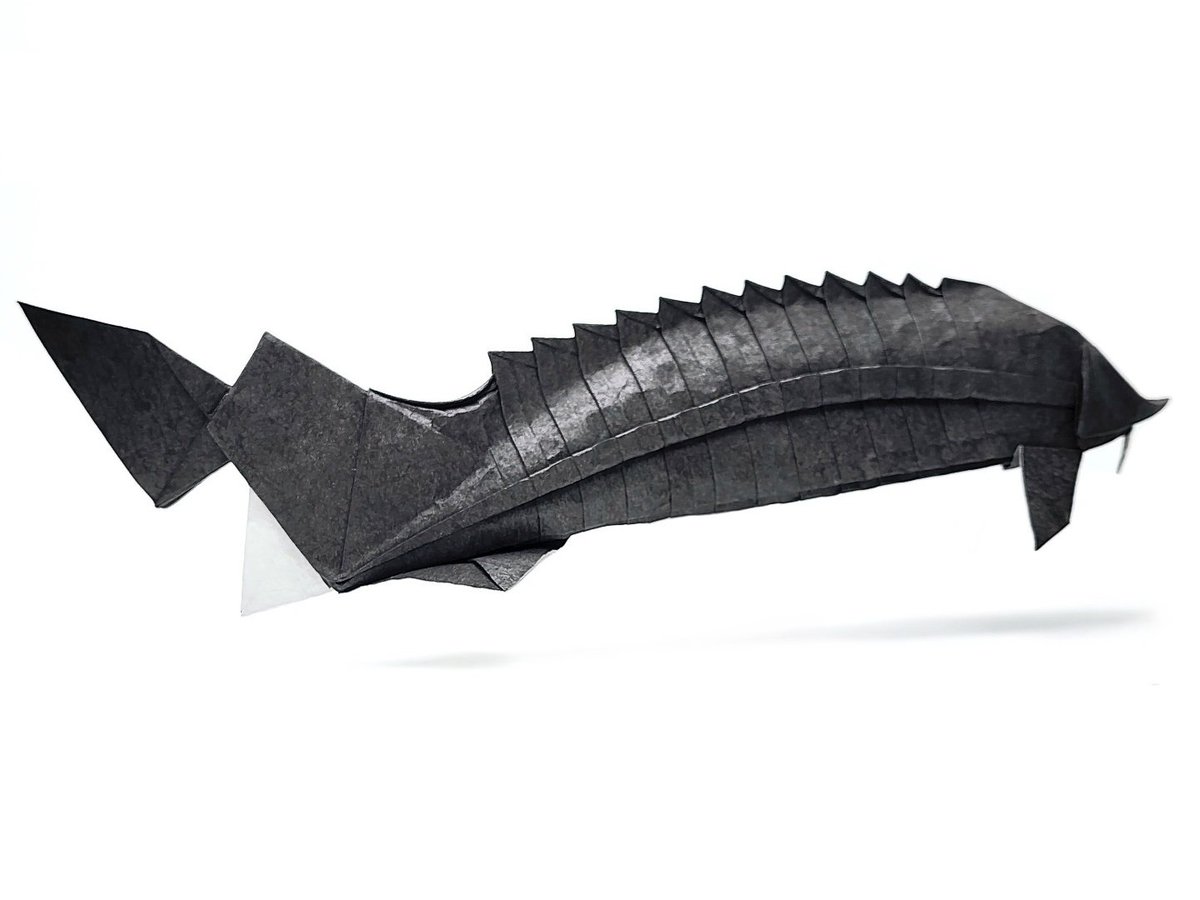 Kimvacom's tweet photo. チョウザメ
#折り紙 #origami https://t.co/BJ1IkkqhEw