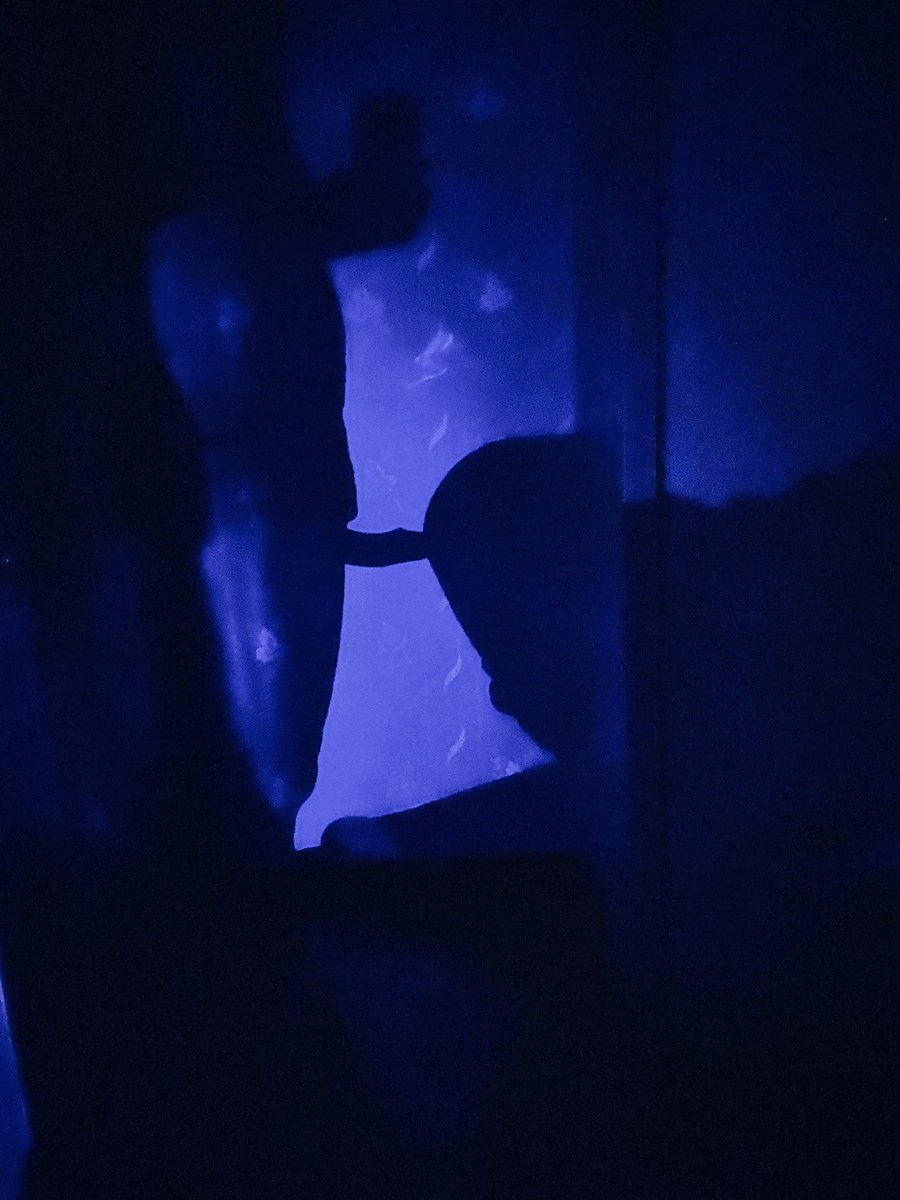 小骚逼得屁股撅得🉑️真高呀。