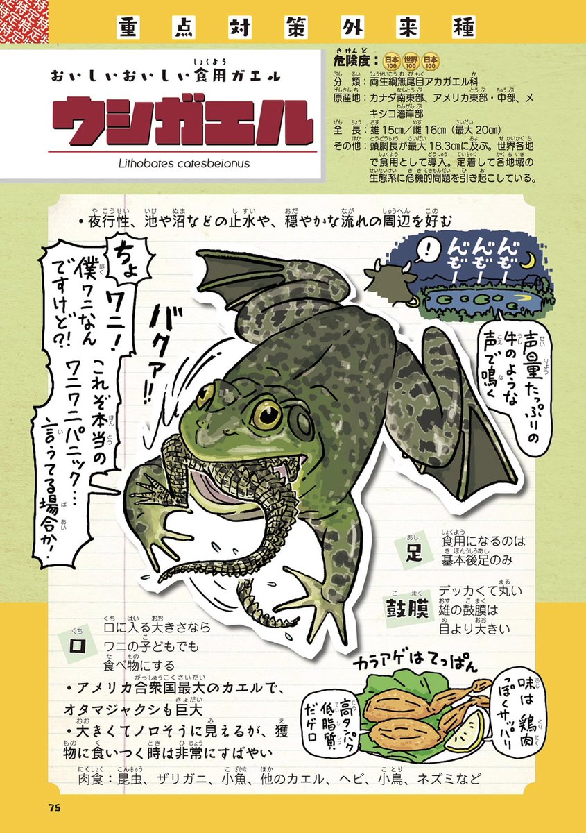 しかし、🇯🇵日本人の都合で導入したくせに、需要がなくなったからと放逐された外来生物のヌートリアやウシガエルを、🇻🇳ベトナムからきた外国人労働者たちが、食費を浮かしたり、お金稼ぐために食べているという報道を見るたび、この国の業の深さに鬱々とした気持ちになる。
https://t.co/54SqLPhhvw https://t.co/P2i59NjYKF 