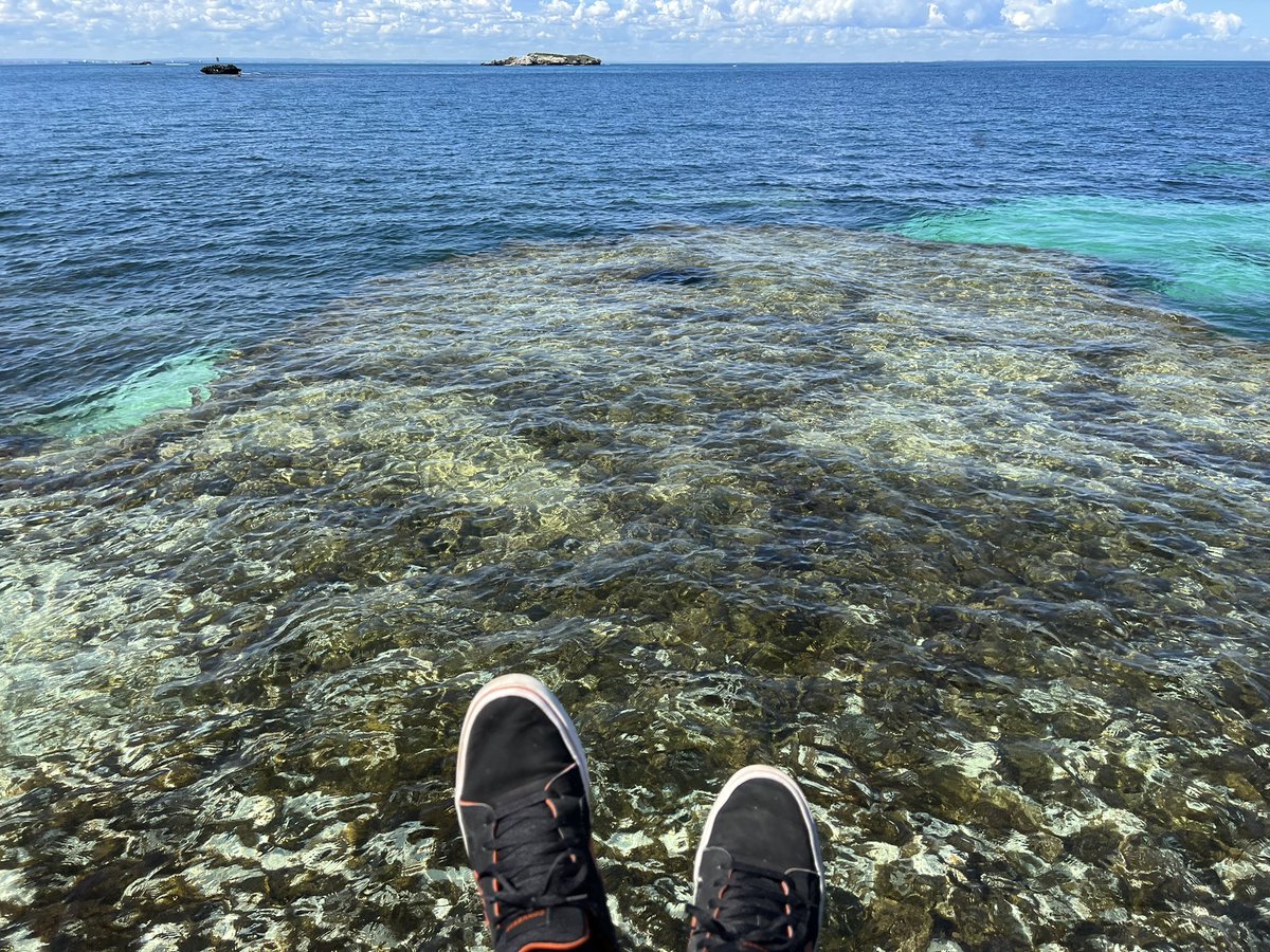 Having an awesome time at Rottnest Island with <a href="/MakerXAU/">MakerX</a> #makersmake