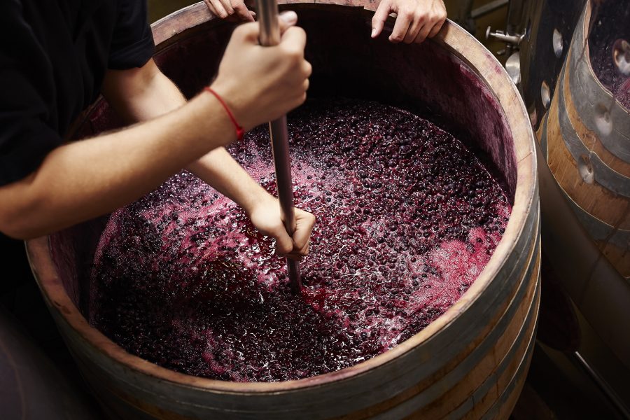 The Real Review (@therealrvw) on Twitter photo #WineInsights <a href="/HuonHooke/">Huon Hooke</a> - There is value in being seen to be close to nature. Flagging natural fermentations is part of that trend. Cc <a href="/The_AWITC/">The_AWITC</a> <a href="/yalumba/">Yalumba</a> <a href="/Cullenwines/">Vanya Cullen</a> <a href="/Moss_Wood/">Moss Wood</a> <a href="/KumeuRiverWines/">Kumeu River</a> buff.ly/3v6RvHG #WineInsights <a href="/HuonHooke/">Huon Hooke</a> - There is value in being seen to be close to nature. Flagging natural fermentations is part of that trend. Cc <a href="/The_AWITC/">The_AWITC</a> <a href="/yalumba/">Yalumba</a> <a href="/Cullenwines/">Vanya Cullen</a> <a href="/Moss_Wood/">Moss Wood</a> <a href="/KumeuRiverWines/">Kumeu River</a> buff.ly/3v6RvHG