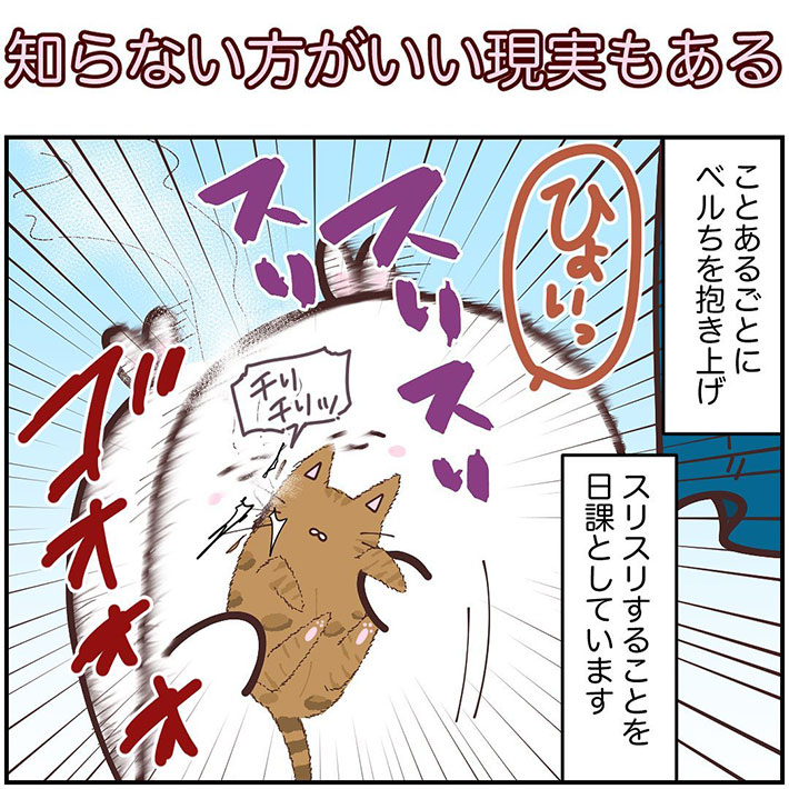 愛猫に頬ずりをした飼い主 鏡越しに表情を確認すると… https://t.co/3hdU4MwJQ0 @grapeejpより 
