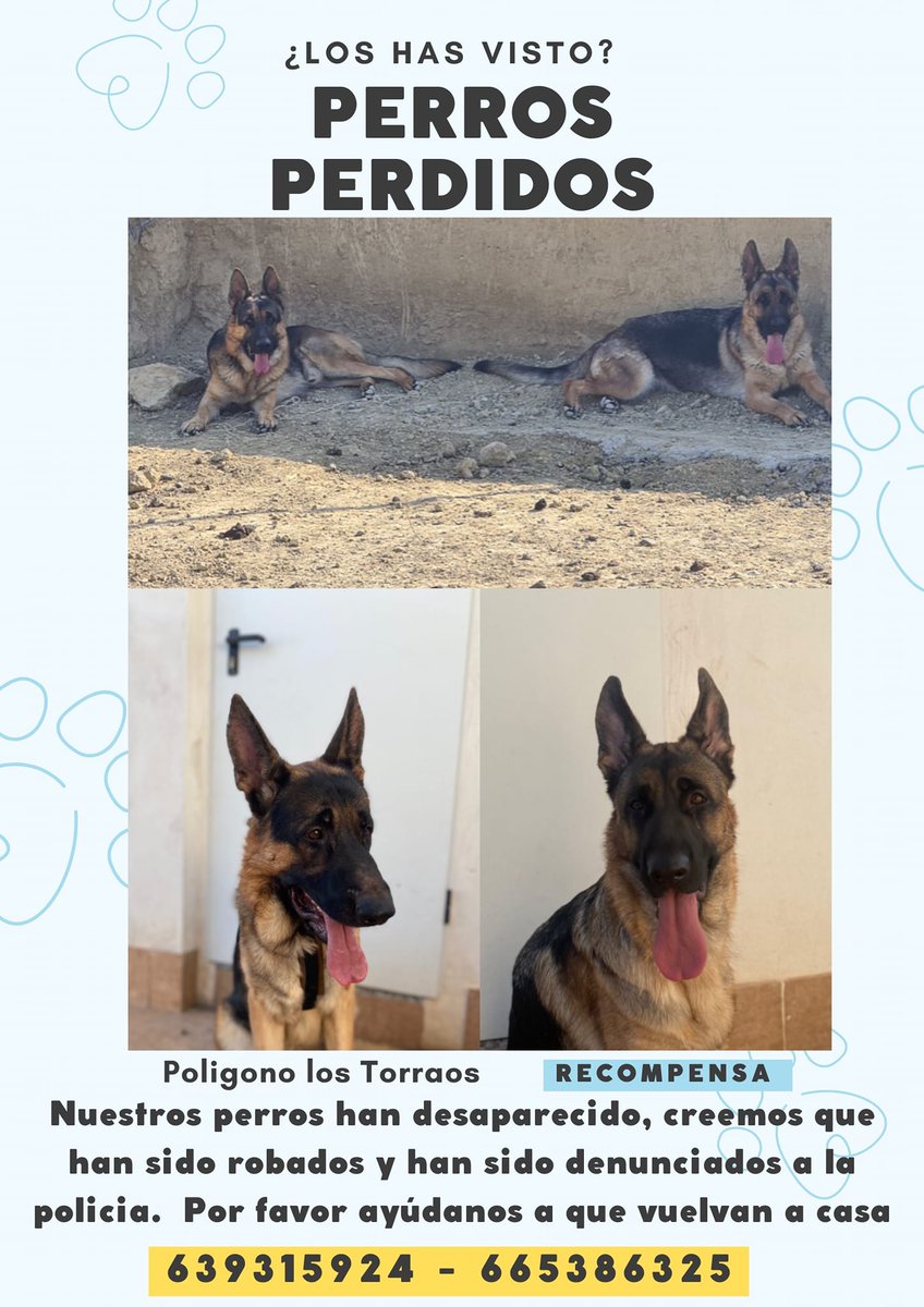TomasNavarroGil's tweet photo. Seguimos buscando, ruego difusión https://t.co/HvWX2bTfk3