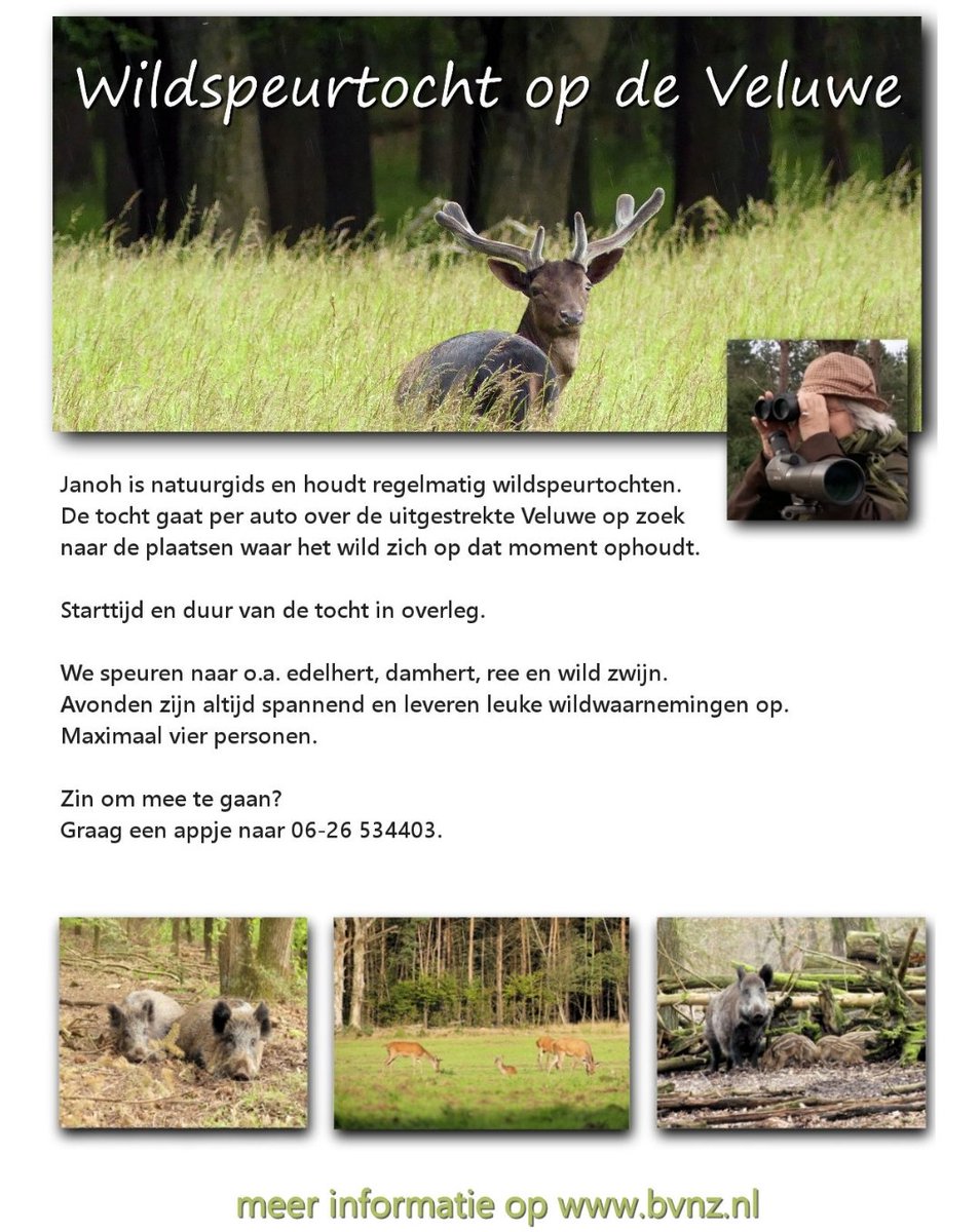 wildspeuren's tweet photo. De edelhertenbronst wordt zo hier en daar al gehoord. Wij zijn klaar voor de bronsttochten, dit is de mooiste en spannendste periode in het bos.. https://t.co/jait577WRw