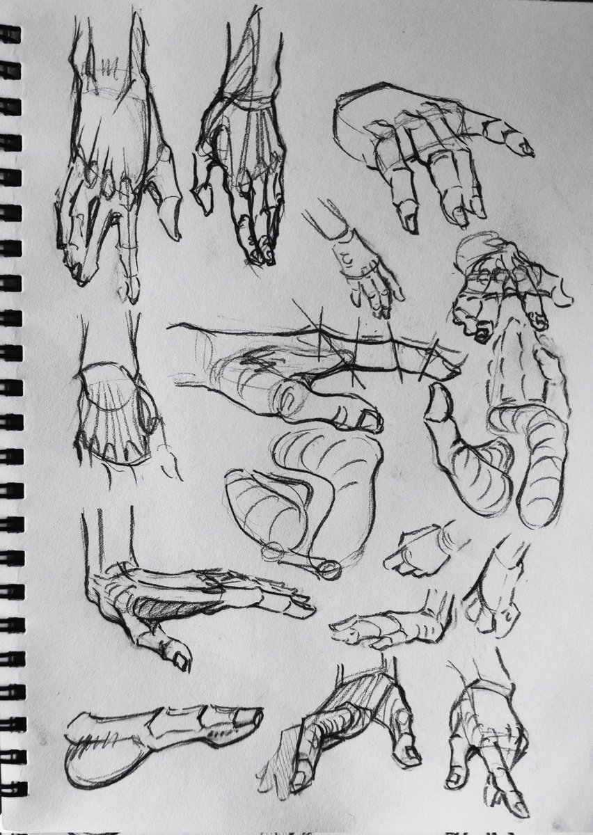 Daily study #28 you can never practice hands too much 