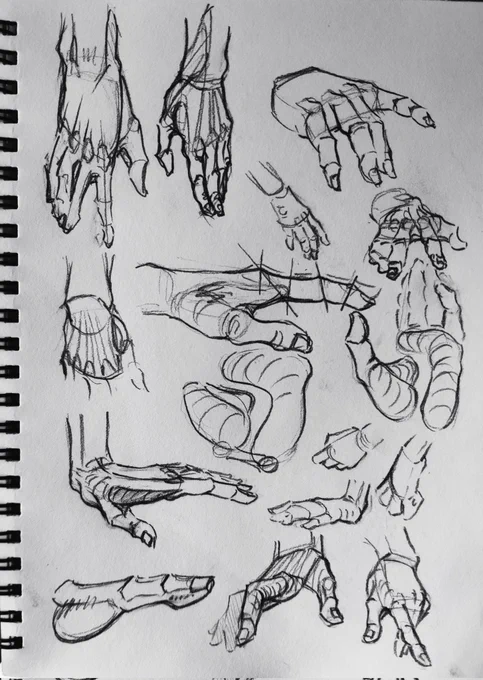 Daily study #28 you can never practice hands too much 