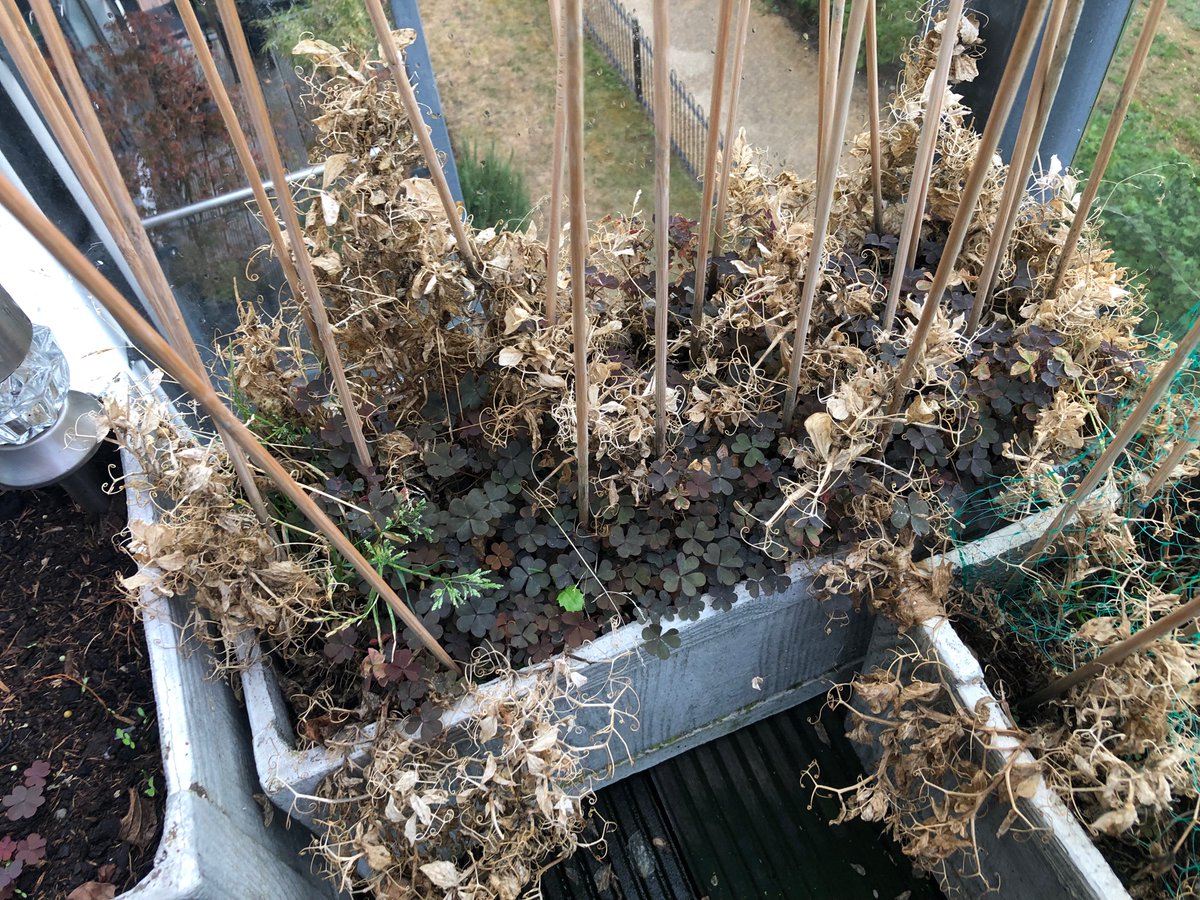 Gemma Hatton tweet media