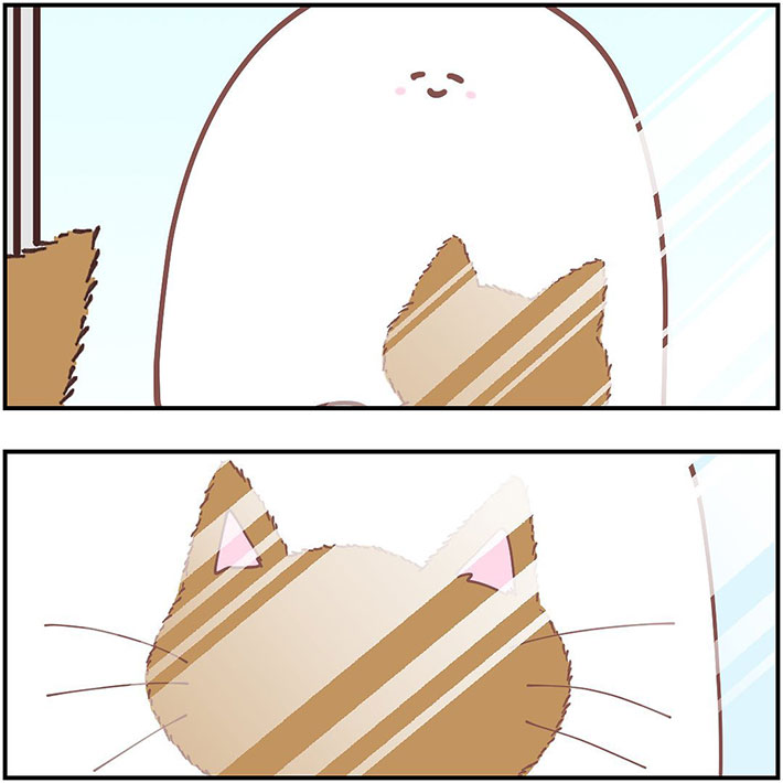 愛猫に頬ずりをした飼い主 鏡越しに表情を確認すると… https://t.co/3hdU4MwJQ0 @grapeejpより 