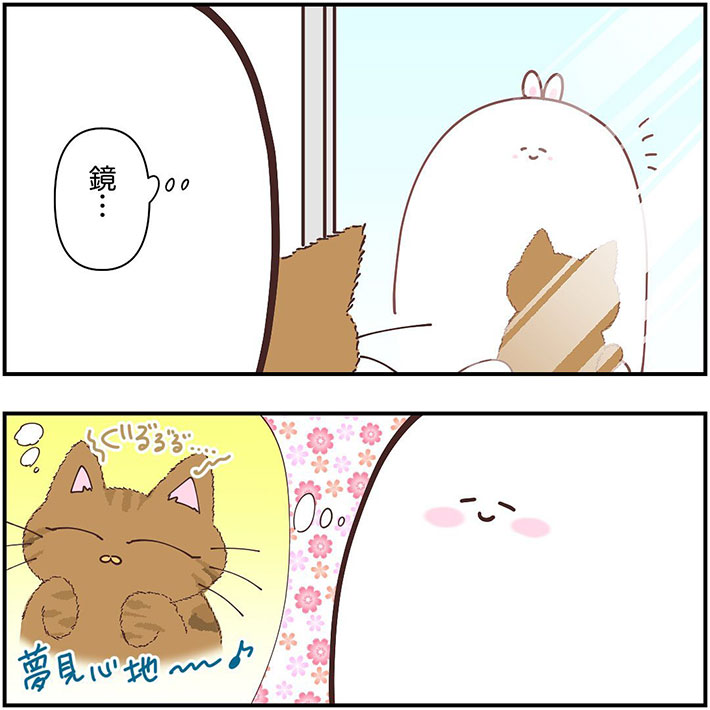 愛猫に頬ずりをした飼い主 鏡越しに表情を確認すると… https://t.co/3hdU4MwJQ0 @grapeejpより 