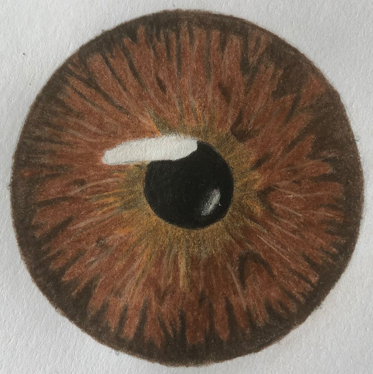 goodmorning☀️
we are working on some cool new stuff!
what do you think about this one?
#nftart #drawings #NFTCommunity #nftspace