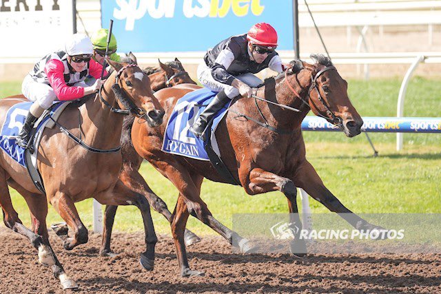 Grahame Begg Racing tweet media