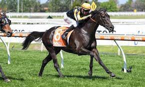 Grahame Begg Racing tweet media