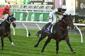 Grahame Begg Racing tweet media