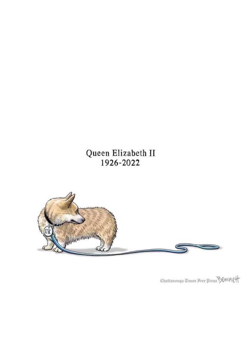 Antoinnette Scheulderman (@scheulderman75) on Twitter photo 