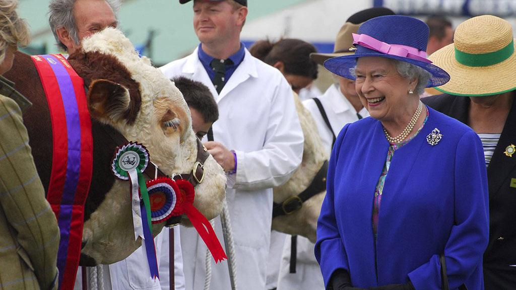 SWFarmConsultants tweet media