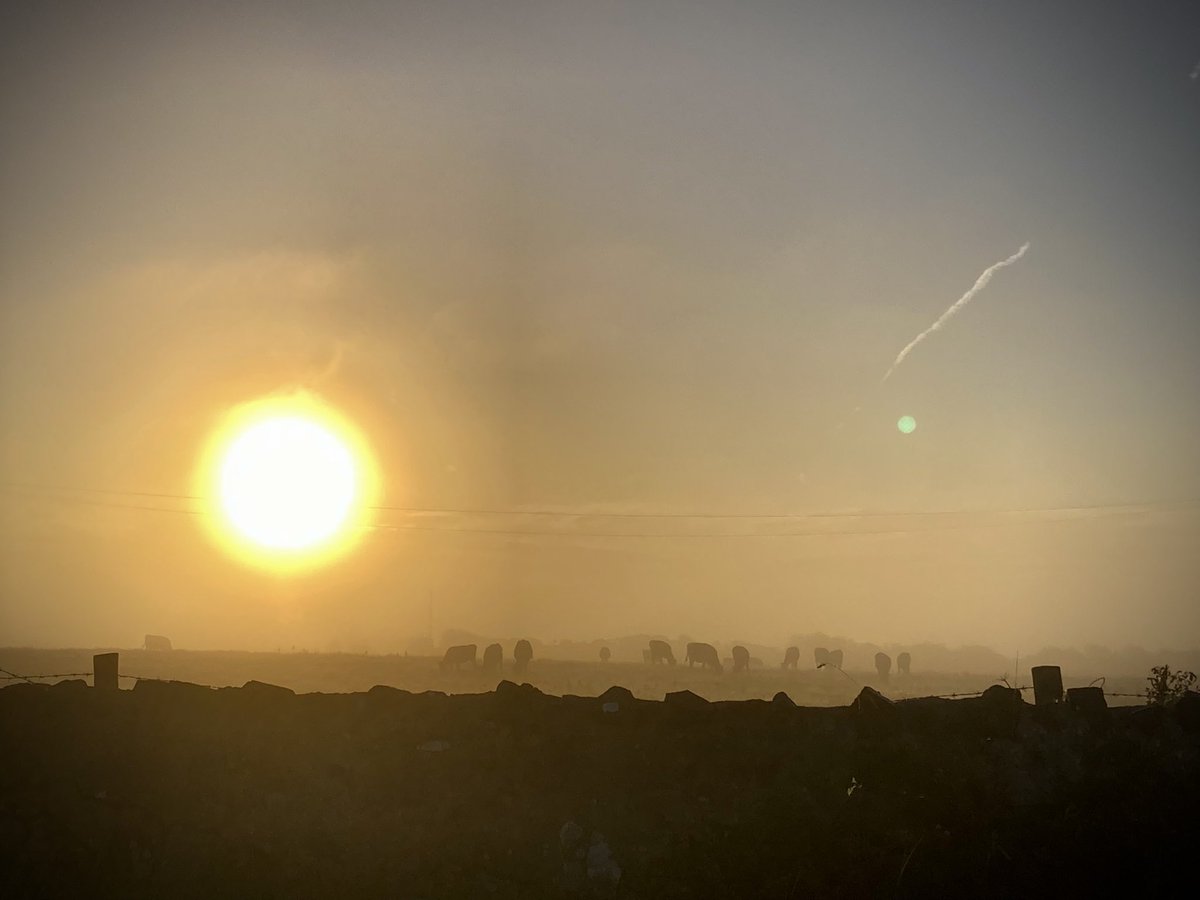 Following the sunset, there is a new dawn, with all of the positive changes and opportunities that it will bring.

The United Kingdom must hold dear what has been, and look forwards with anticipation and support for what is yet to come.

Thank you Ma’am.
#QueenElizabeth