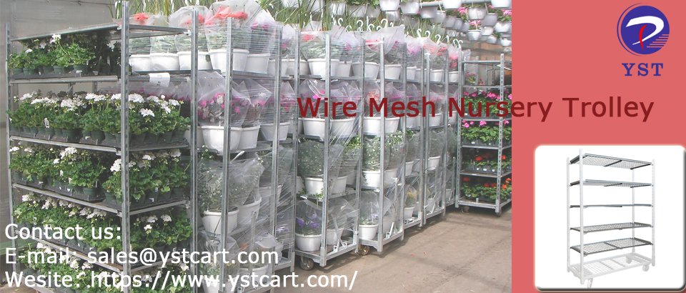 YstLogistics's tweet photo. A Wire Mesh Nursery Trolley that grows your flowers better!
Contact us
E-mail: sales@ystcart.com
Wesite:https://t.co/6YslU6Ic2P
#danishtrolley #ystcart #cccontainer #flowercart #ODM #OEM #factory #manufacturer #storageflower #displayflower #nursery #greenhouse #garden #customized https://t.co/gGk6rjy5nl