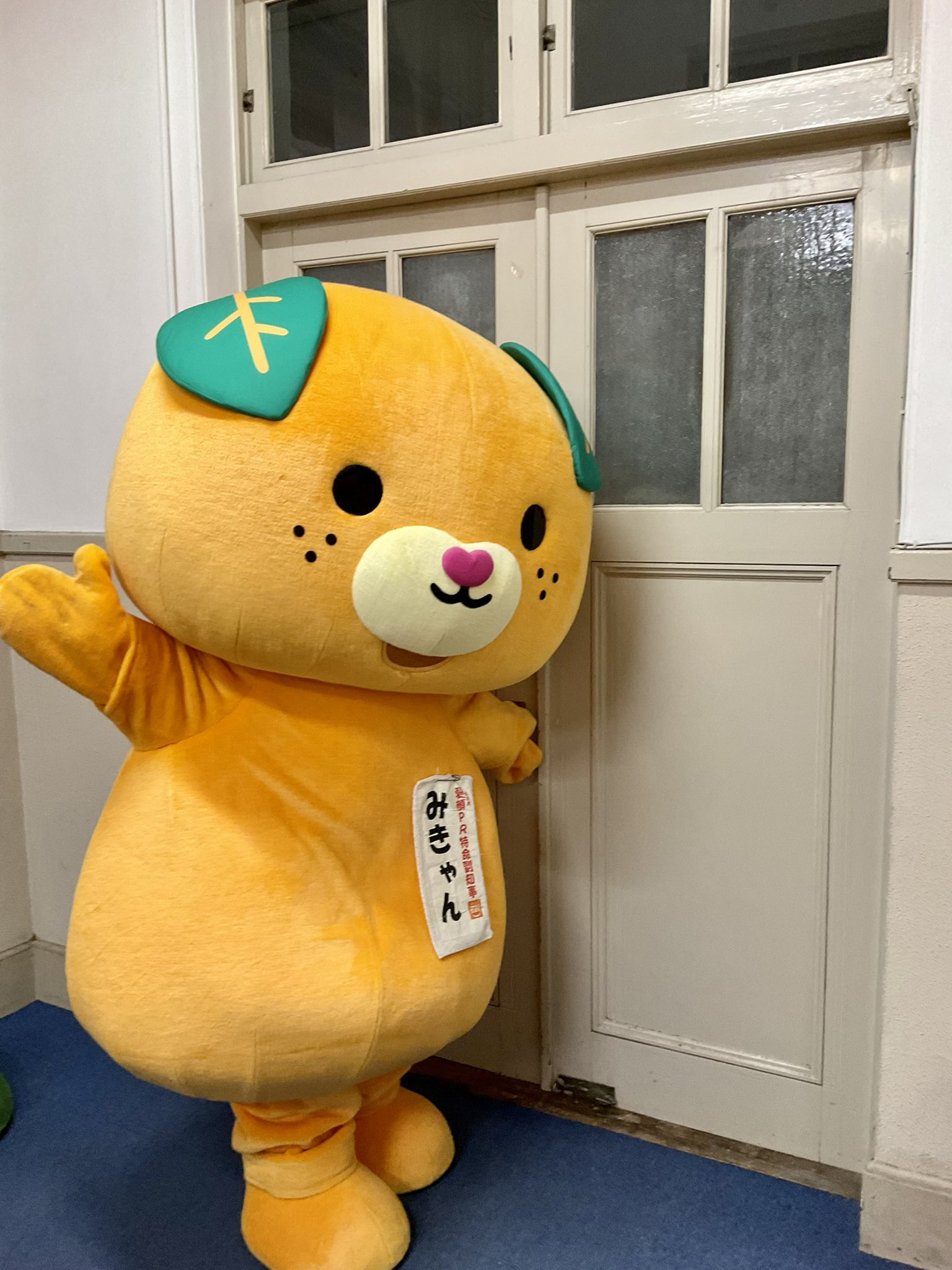 みきゃん 公式 愛媛県イメージアップキャラクター Micanehime Twitter