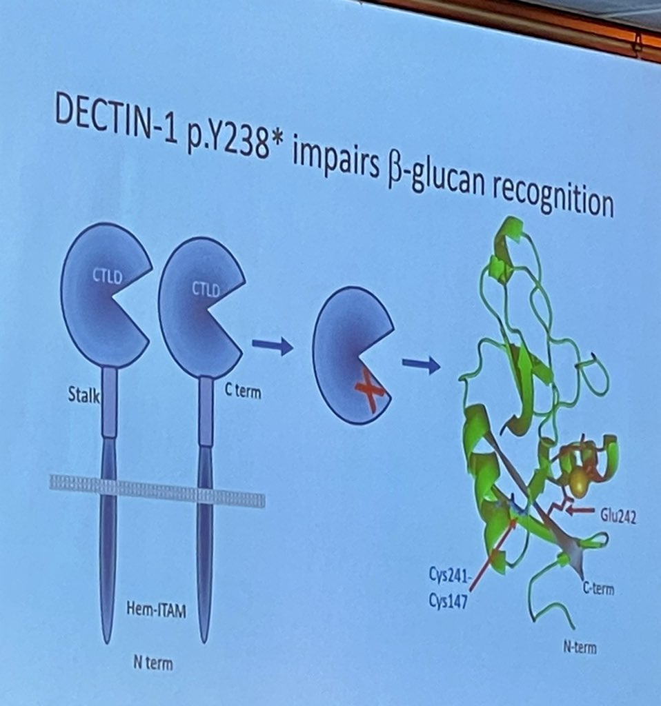 Michael Ison, MD MS tweet media