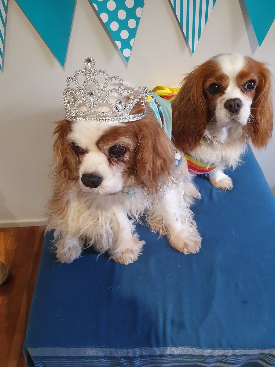 Bronwyn Reid tweet media