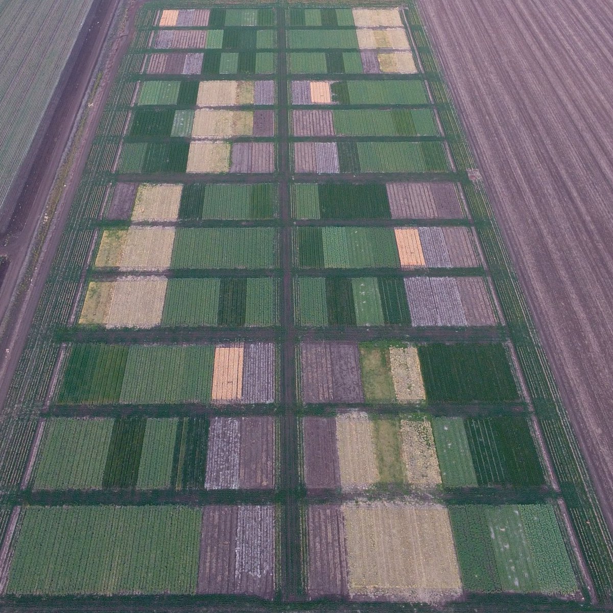 Are you interested in an indefinite role exploring options to improve productivity and sustainability of agricultural systems? We are recruiting a Research Officer - Agricultural modelling &amp; data management to join our group in SE Qld. jobs.csiro.au/s/6W4VJu