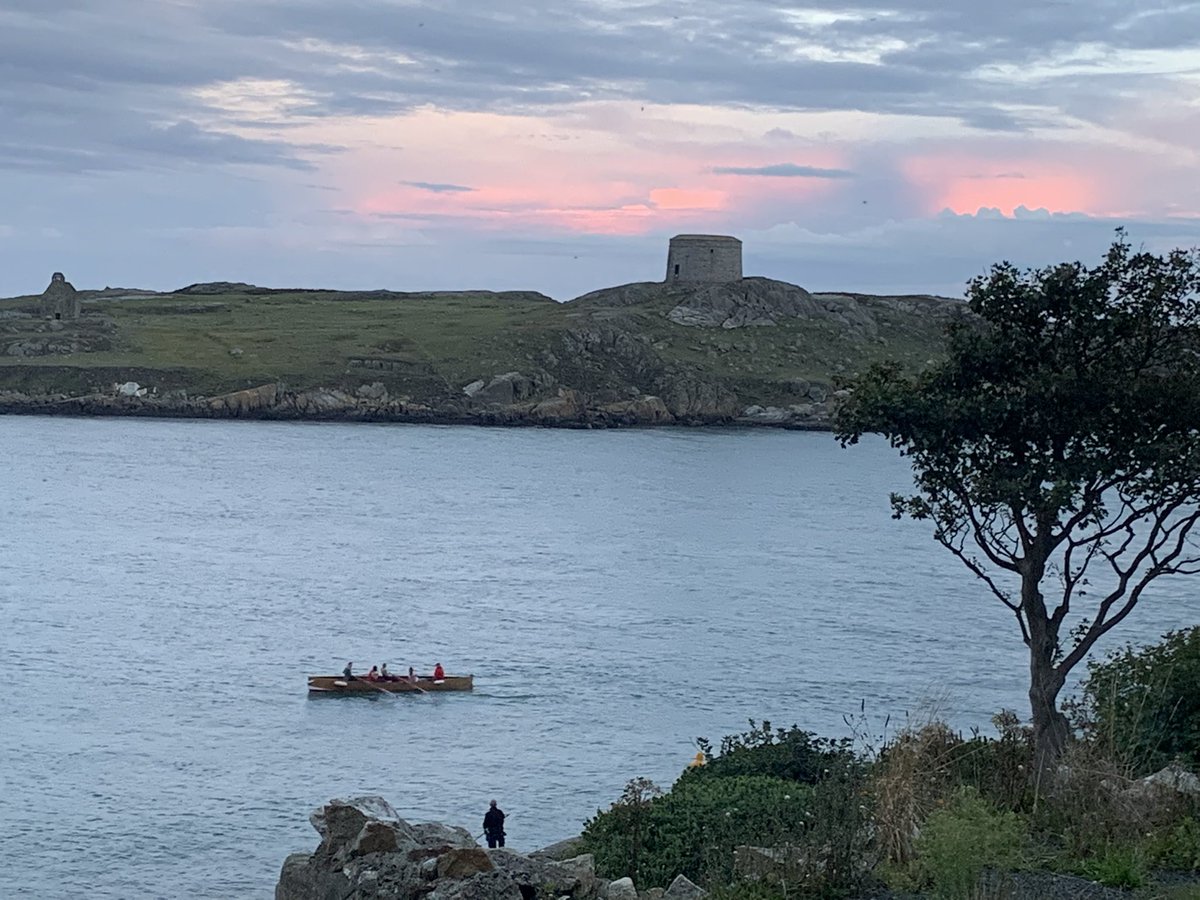 Dalkey Rowing Club tweet media