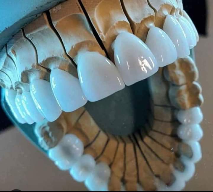 TEKİRDAĞLI BORA (@cinar58474424) on Twitter photo 