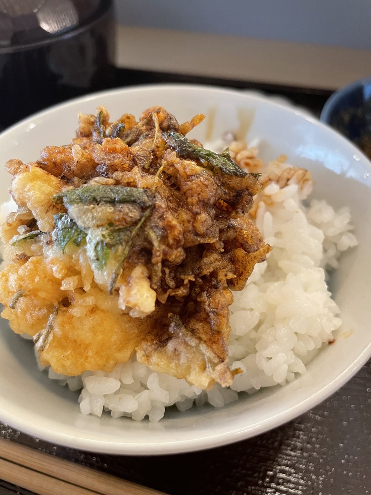 若旦那の広島びいき on Twitter "新しい天ぷらのお店が！ https//t.co/Za48oemRPo 天ぷら森山 広島