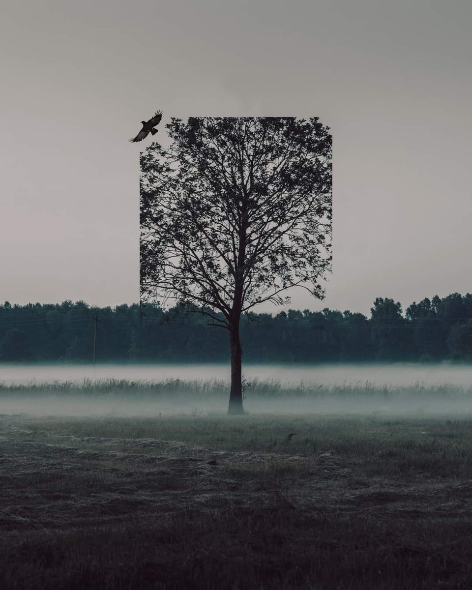 diogosampaioART's tweet image. gm everyone. Wishing you all an amazing day