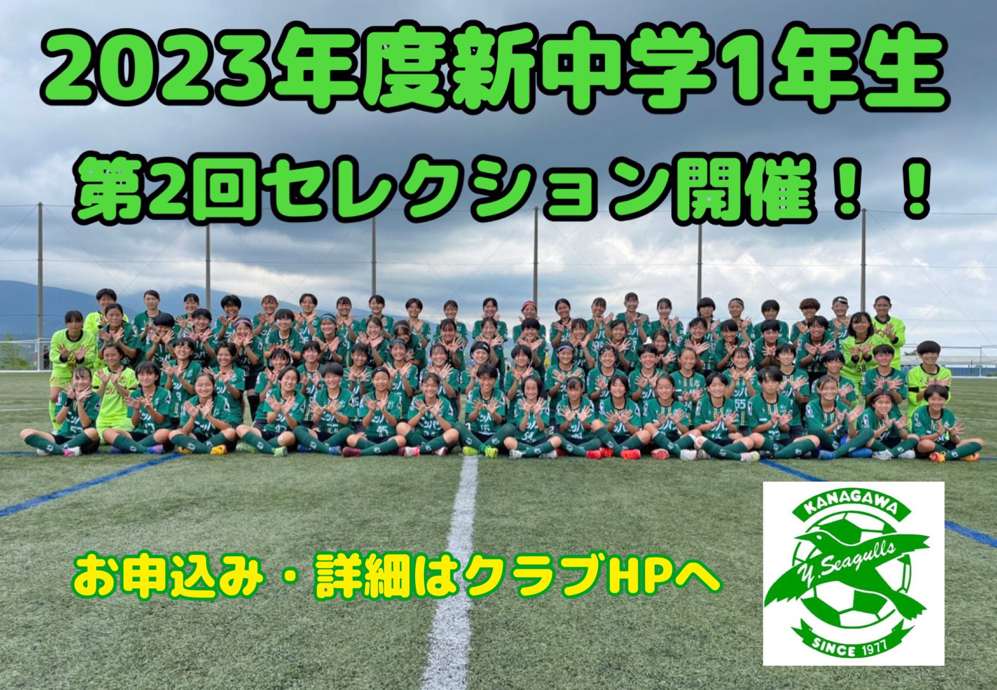 Tweets With Replies By 横須賀シーガルズ女子公式 Seagullswomen Twitter