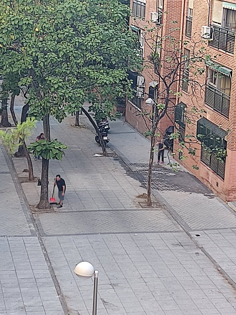 kolytuitter's tweet photo. Ante la dejadez del ayuntamiento y el olvido del barrio de San Blas, la limpieza y cuidado de jardines va a cargo de los vecinos. C/valdecanillas @MADRID @AlmeidaPP_ @MasMadrid__ @PSOEMadridAyto https://t.co/78OkhrTQlj