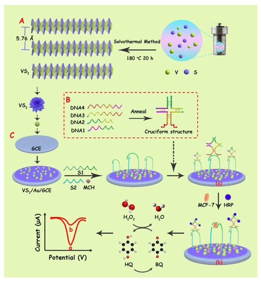 Biosensors_MDPI's tweet photo. #Article 
📢 #Aptamer Embedded Arch-Cruciform DNA Assemblies on 2-D VS2 Scaffolds for Sensitive Detection of #Breast #Cancer Cells 

Read more: https://t.co/5GiXLI7Egf

#electrochemistry
#2Dmaterials
#DNAassembly https://t.co/Z6CnRDhJ9y