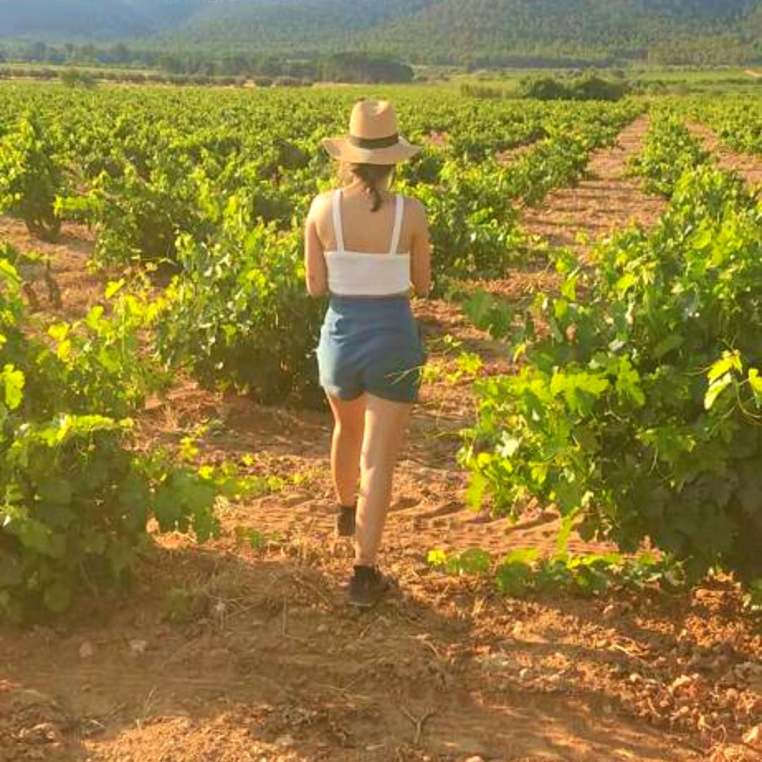 BoPersonales's tweet photo. Revisando desde el terreno la calidad y artesanía de nuestros #WineMakers (y que están GENIALES).
¡No todo el trabajo es en laboratorio!

#WinePositionSystem #BodegasPersonales #winelovers #ecologisme #Bodegas #vino https://t.co/1TZsUdN8Ra