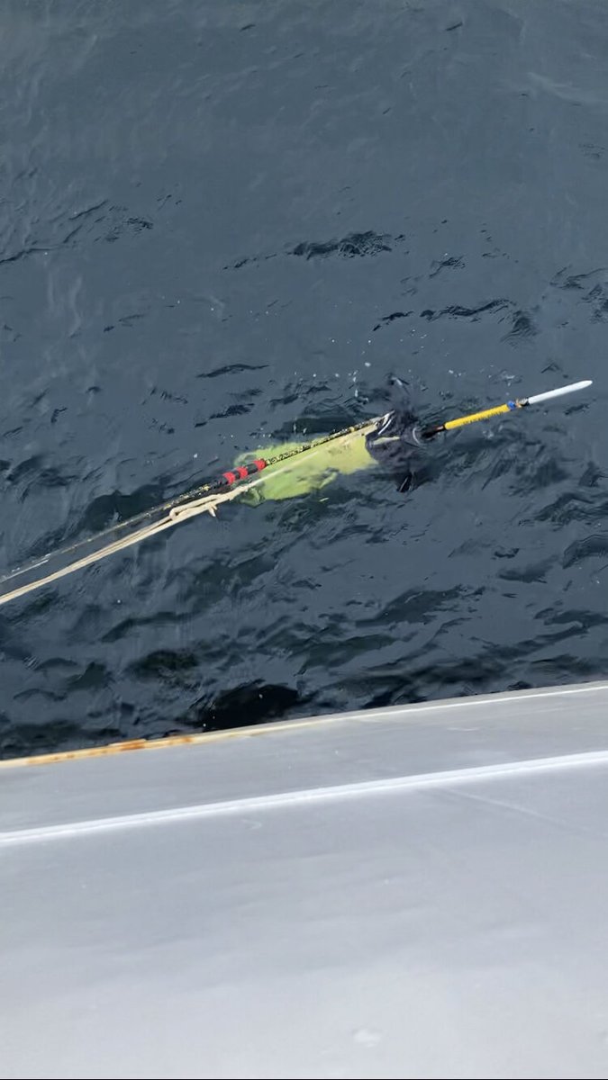 SeaExplorerUUV's tweet photo. After 5 days of training, today it's time to wrap-up: the glider has been successfully recovered and has completed its sea acceptance test in Japanese waters!
Best of luck for #KaiyoEngineering's team in view of the missions to come soon! @SeaBreath_ocean https://t.co/orCKQpNd3C
