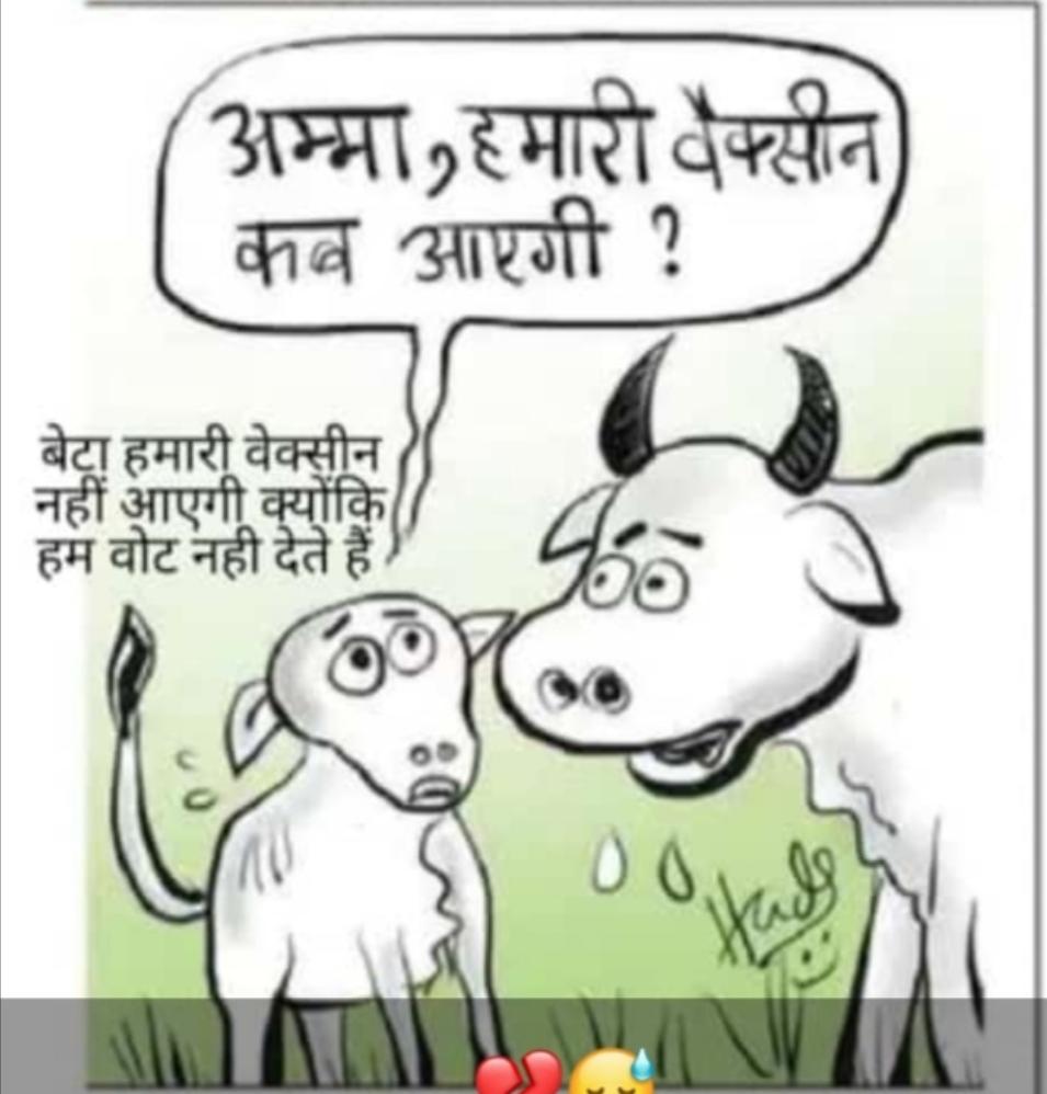 HastimalMeena5's tweet photo. #savecows
#लंपी_रोग_का_समाधान_करो 
#गौमाता_की_रक्षा_करो
@INCIndia @airnews_jaipur @ArjunBamaniya_ @HC_meenaMP 
@ashokgehlot51 @rssurjewala @SachinPilot @airnews_jaipur @aryanzalwar @GovindDotasra https://t.co/ddXtGgS2JN